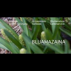 BLUAMAZAINA CAFE NATUR
