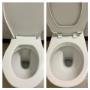 Wc Reinigung