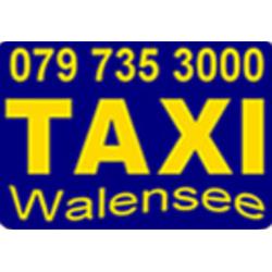 Taxi Walensee