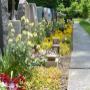 Friedhof an der Altgasse in Baar