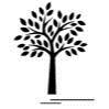 beauty tree GmbH