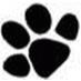 Hundeschule & Hundebetreuung Natur Pfötli