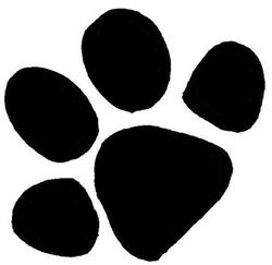 Natur Pfötli - Hundeschule & Hundebetreuung Region Solothurn