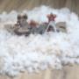 Hundesalon Kloten_Merry Christmas