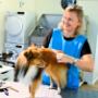 Hundesalon Kloten Mio