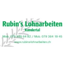 Rubin's Lohnarbeiten