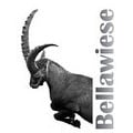 Gasthaus/Pension Bellawiese