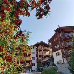 Ari Resort - Ferienwohnungen