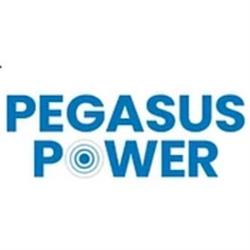 Ryser Consulting & Mental Health GmbH (Pegasus Power)