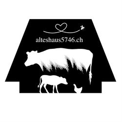 alteshaus5746