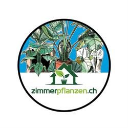 Zimmerpflanzen.ch