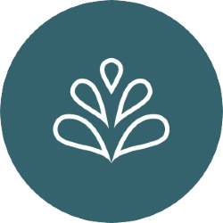 Shiatsu, Coaching - Raum für Selbststärkung Sonja Zürcher