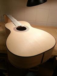 Zanelli Guitars