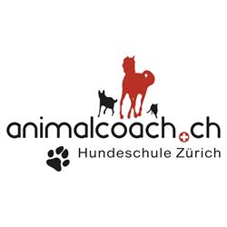 Hundeschule animalcoach.ch Zürich