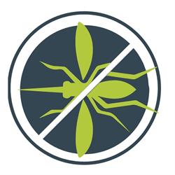 CH-Insektenschutz