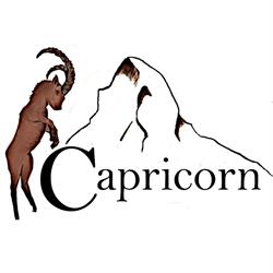 Hotel Capricorn