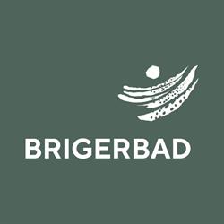 Camping Brigerbad