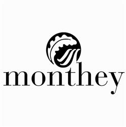 Patinoire de Monthey (Patinoire du Verney)