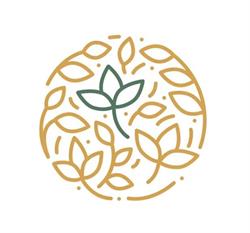 Homöopathie im Fokus