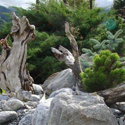 Gartenbau Brawand