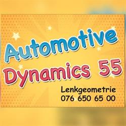Automotive Dynamics 55