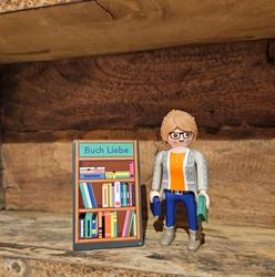 Bibliothek Wimmis