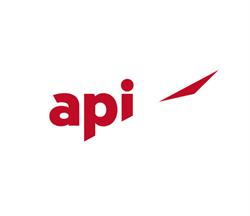 API assistance professionnelle informatique SA