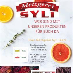 Bislim Syli GmbH