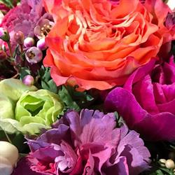 Dorfblumen.ch
