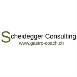 Scheidegger Consulting