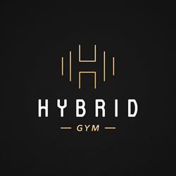 Hybrid Gym
