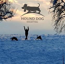 Hound Dog Dogsitting
