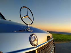 RentTheBenz - Hochzeitsfahrten mit dem Oldtimer