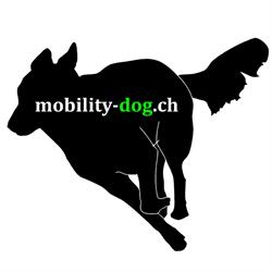 Mobility dog - Hundephysiotherapie
