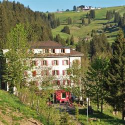 Restaurant Zum Goldenen Hirschen