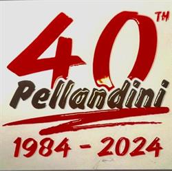 Carrozzeria Pellandini Sagl