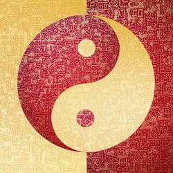 ILONA TCM, Praxis für traditionelle Chinesische Medizin