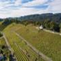 Blick auf den Rosenberg, den Hausberg des tobias wein.gut.