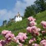 Roseberg mit dem Schlössli der ehemaligen Rosenburg