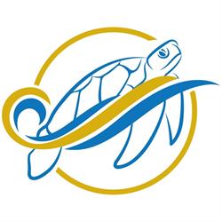 Schildkrötli Swimmers