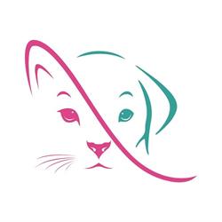 Doc4pet Centro Veterinario