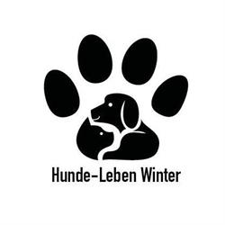 Hundesitter & Hundesalon Oberembrach / Hunde-Leben Winter