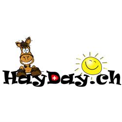 HayDay