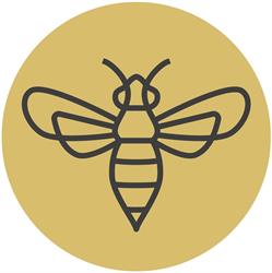 Bienen Naef - Imkerei - Buckfast