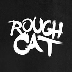 rough cat