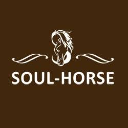 Soul-Horse Ulrike Horner