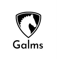 Equestrian Center Galms