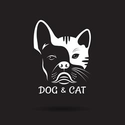 dogandcat