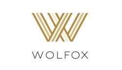 Wolfox Group Switzerland Sagl