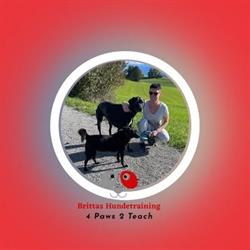 Brittas Hundetraining 4 Paws 2 Teach